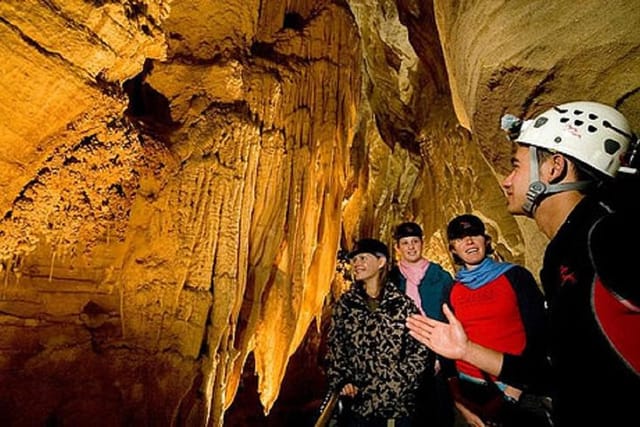 Glowworm Caves